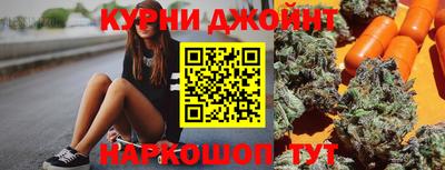 гидра Новозыбков