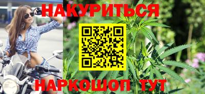 гидра Новозыбков
