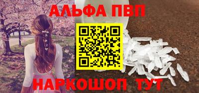 гидра Новозыбков