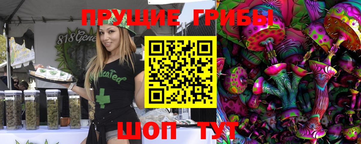 Галлюциногенные грибы MAGIC MUSHROOMS  Вход с VPN  Волхов 