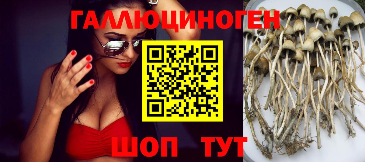 Галлюциногенные грибы прущие грибы Волхов